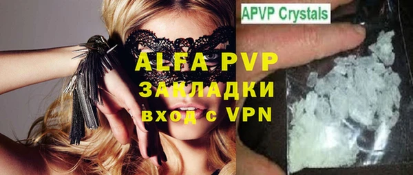 стафф Алексин